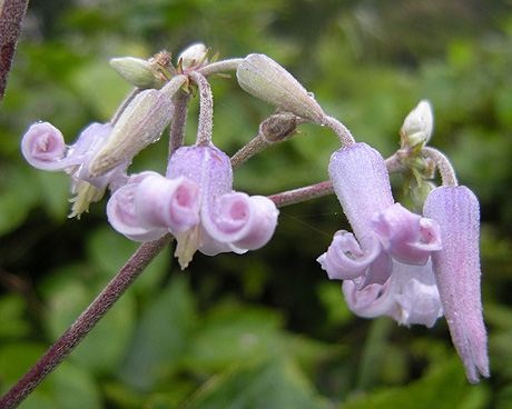a0001354_21155389.jpg