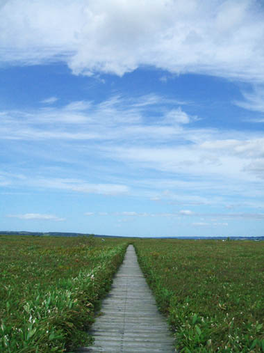 c0097856_1155934.jpg