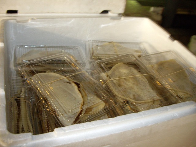 f0184457_2514460.jpg