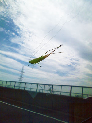 e0009661_14155945.jpg