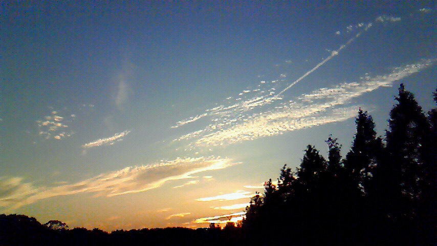 d0120665_1510216.jpg