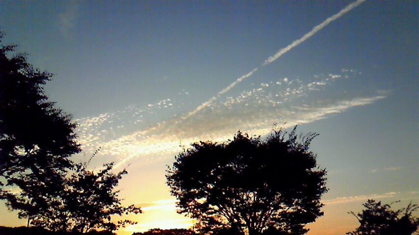 d0120665_15103440.jpg