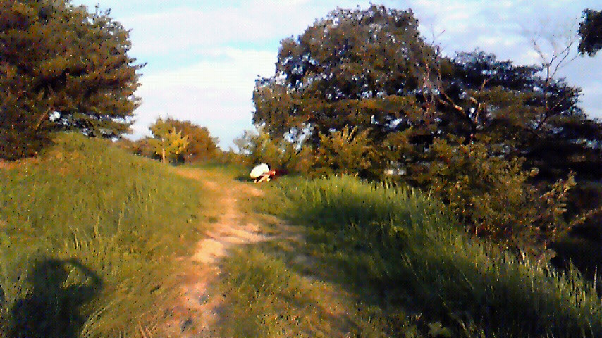 d0120665_1510545.jpg