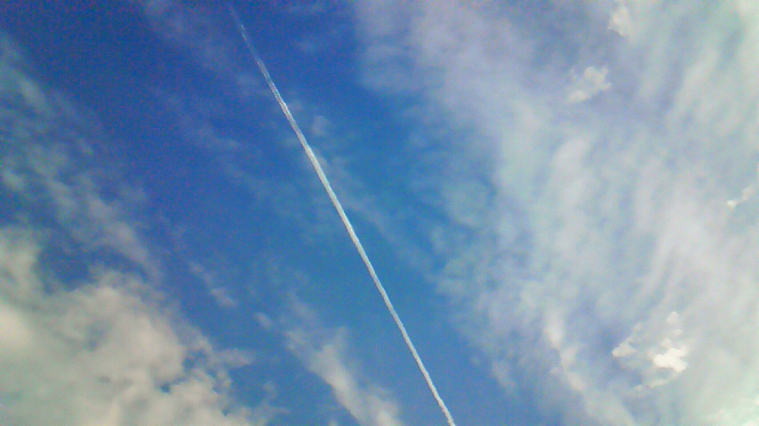 d0120665_1593375.jpg