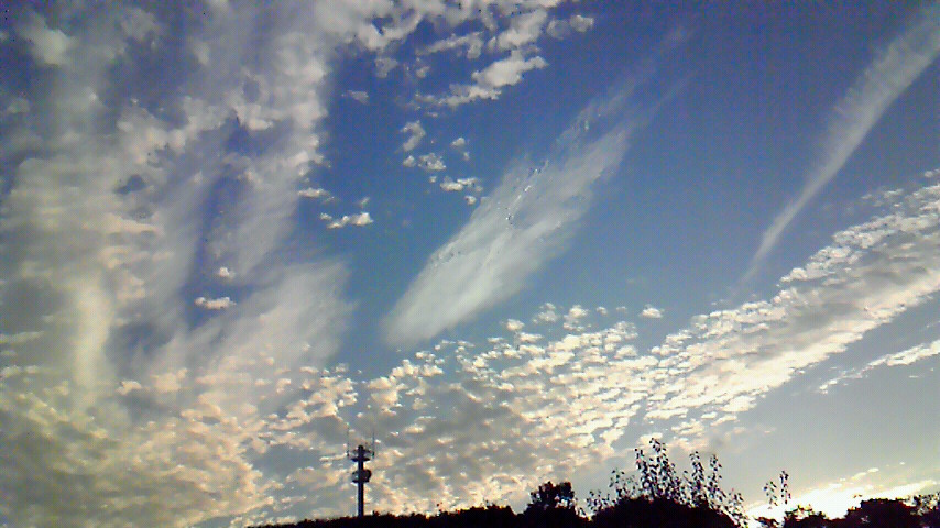 d0120665_1594678.jpg