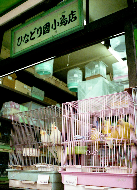 c0084666_2011466.jpg