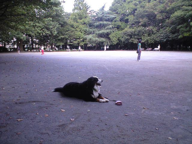 c0177668_22505587.jpg