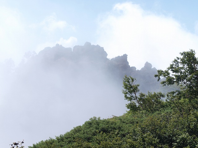 d0025568_1554262.jpg