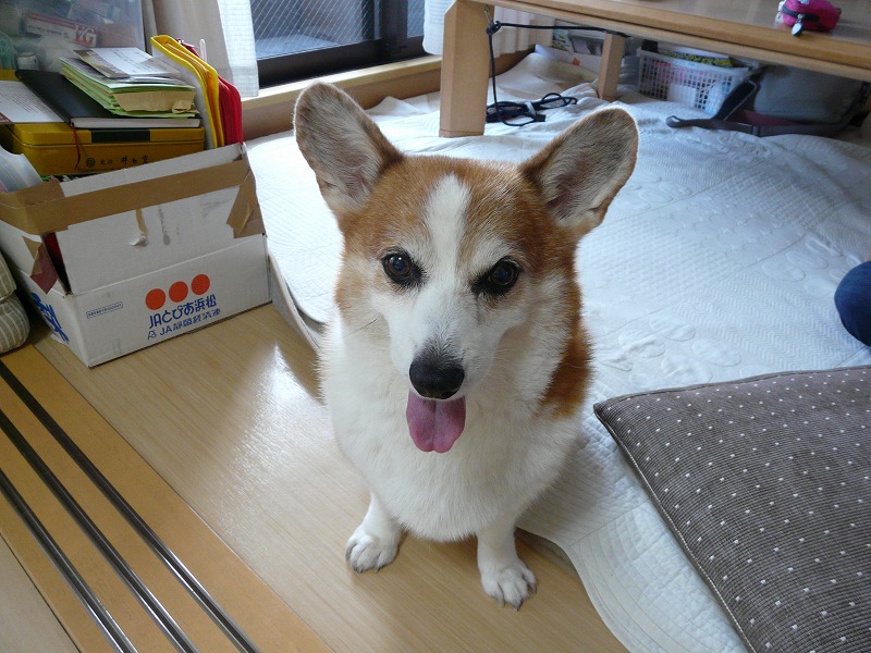 c0182169_2222463.jpg