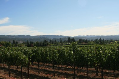d0035269_15214481.jpg