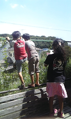 f0177670_16395063.jpg