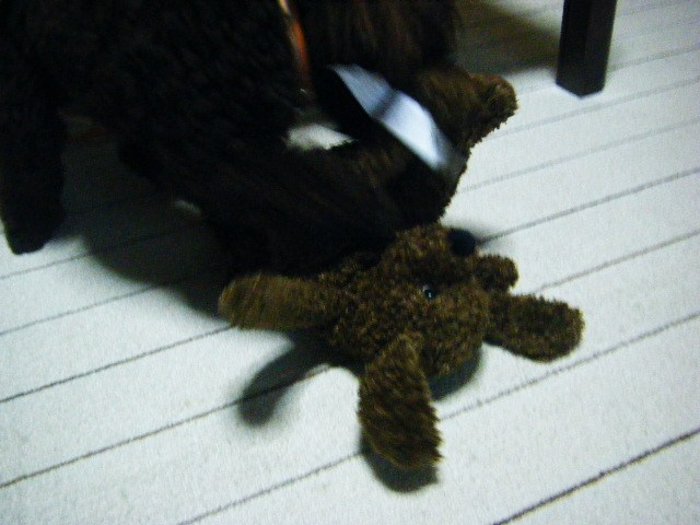 f0207970_920553.jpg