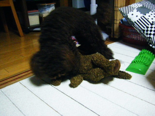 f0207970_9253779.jpg