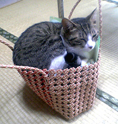 f0140271_0343026.jpg
