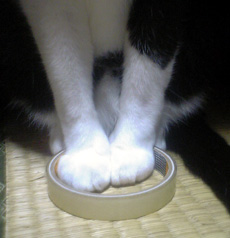 f0140271_0345752.jpg