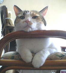 f0140271_0362669.jpg