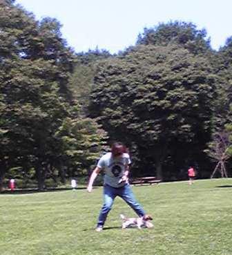 e0191876_1782166.jpg