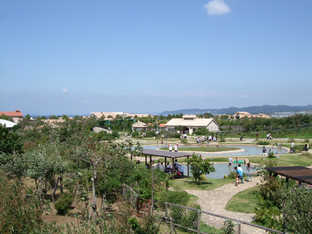 e0123680_22325699.jpg