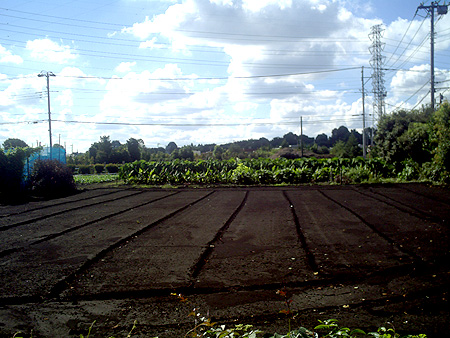 b0168081_18251266.jpg