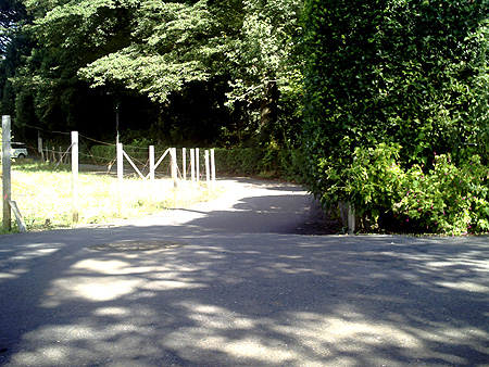 b0168081_18252257.jpg