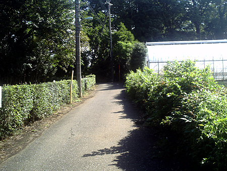 b0168081_18252998.jpg