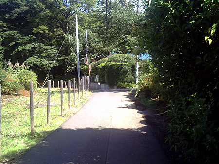 b0168081_18253615.jpg