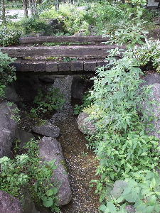 e0191481_1865257.jpg