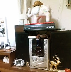 c0076383_12143155.jpg