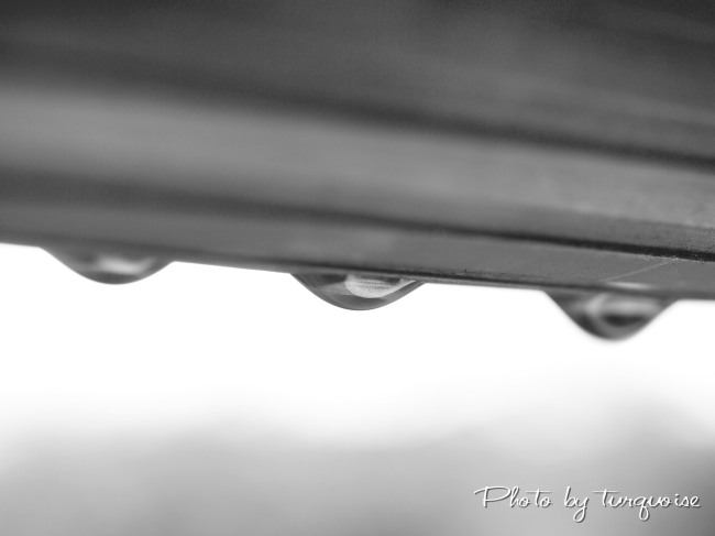 c0201284_0104468.jpg