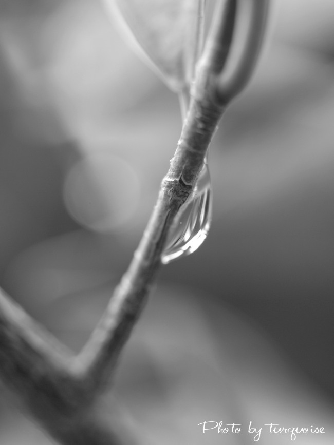 c0201284_0141080.jpg