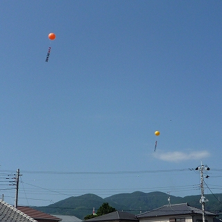 c0160488_2043293.jpg