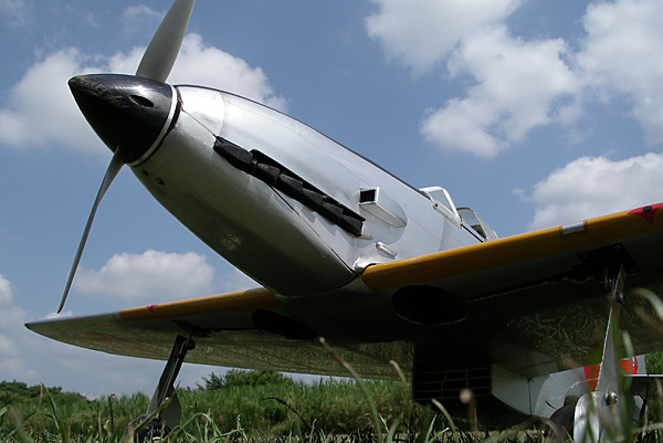 f0175989_1034056.jpg