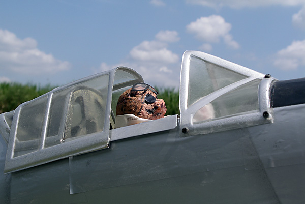 f0175989_10361584.jpg