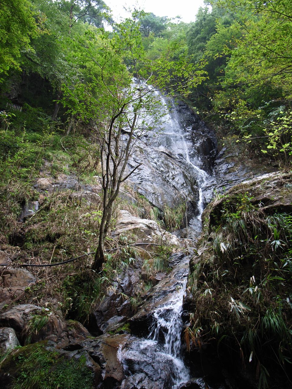 c0190391_202175.jpg