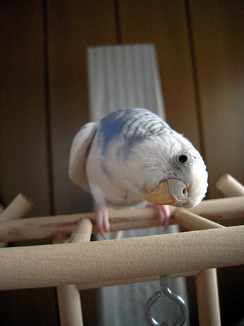 d0131293_14574156.jpg