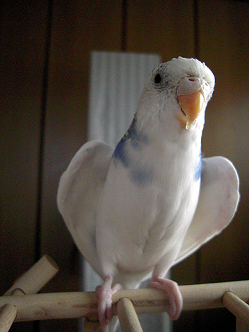 d0131293_14581312.jpg