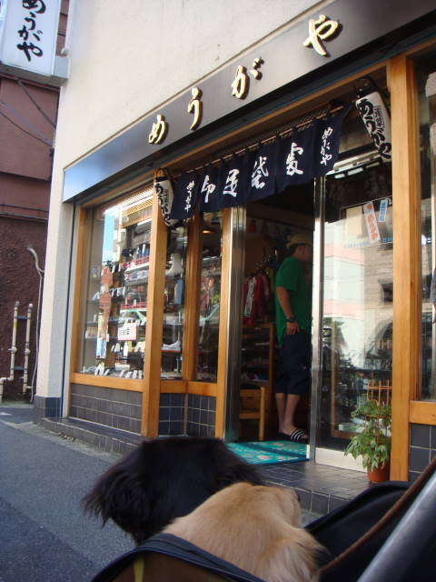 d0098295_23151815.jpg