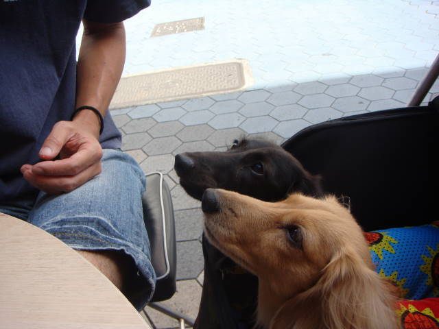 d0098295_23173753.jpg