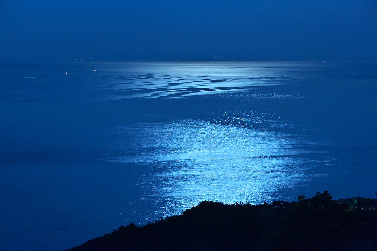 d0146295_2142822.jpg