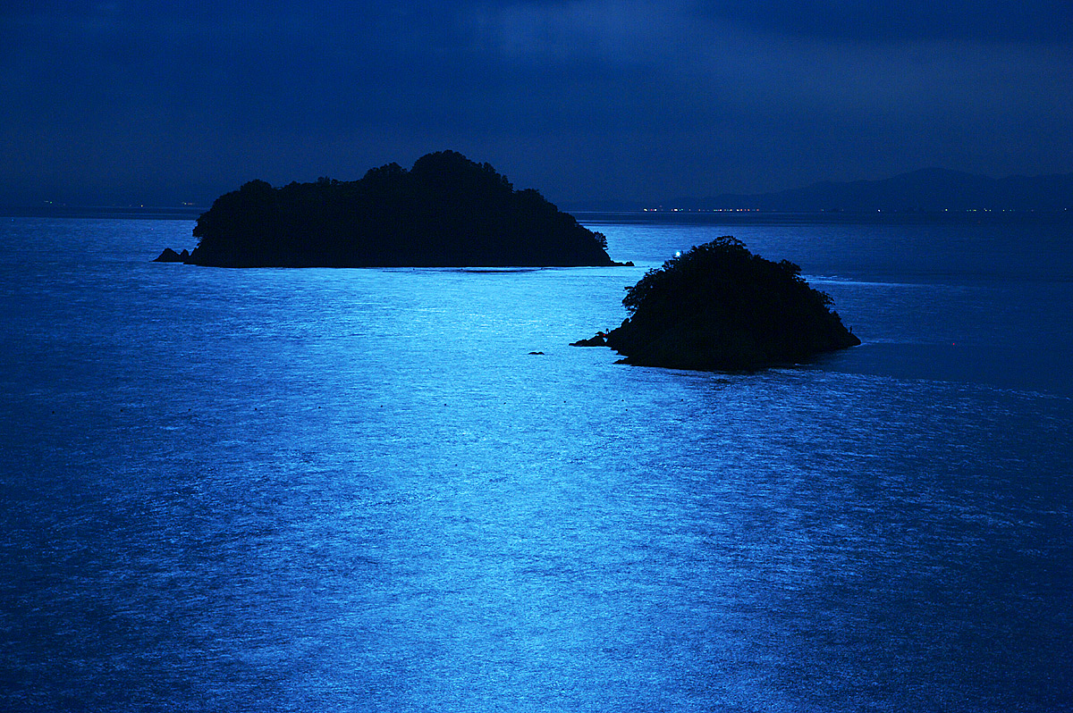 d0146295_21495218.jpg