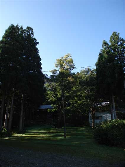 a0061599_11165716.jpg