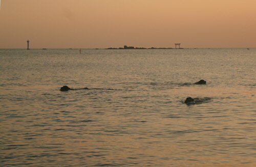 c0050400_163456.jpg