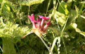 a0056401_4395260.jpg