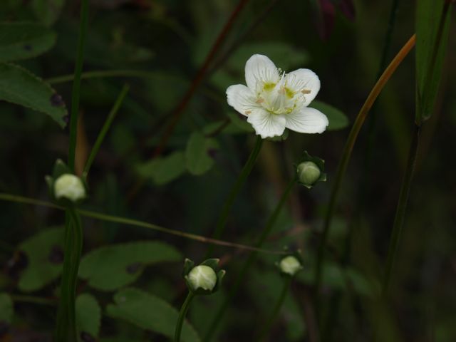 c0007501_106329.jpg