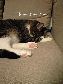 c0035001_14413763.jpg