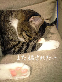 c0035001_1442236.jpg