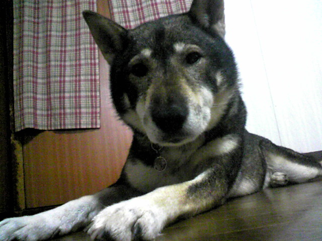 f0079202_19254925.jpg