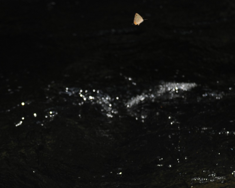 e0103903_19315288.jpg