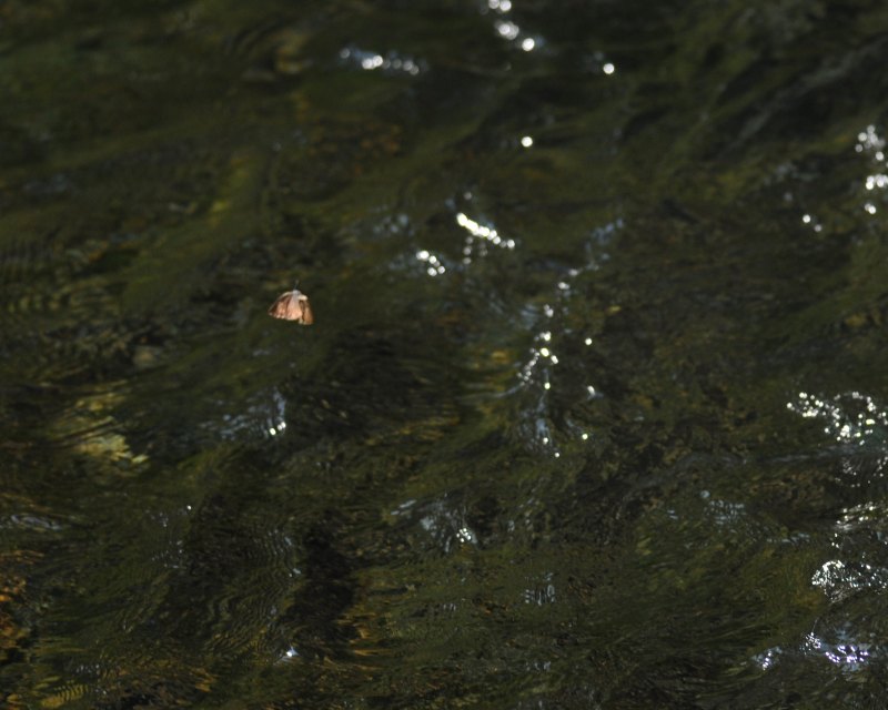 e0103903_19334196.jpg