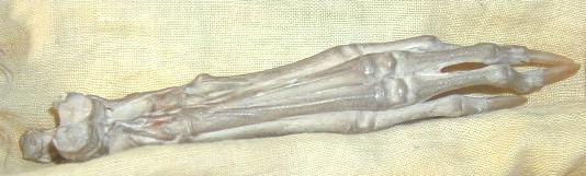 b0169804_22481145.jpg